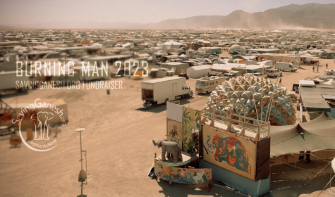 ilovelephants-2