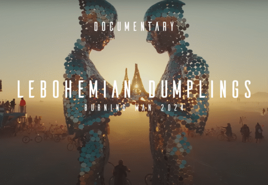 lebohemian-dumplings
